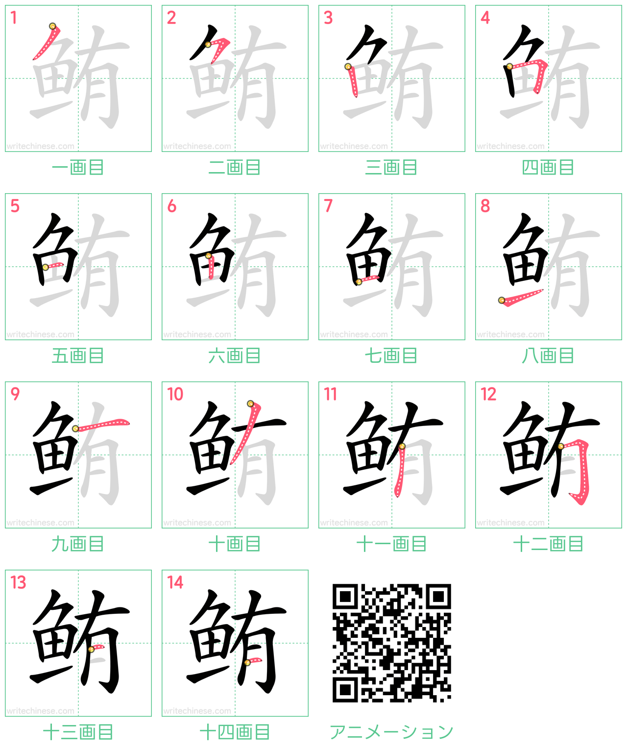 中国語の漢字「鲔」の書き順 筆順