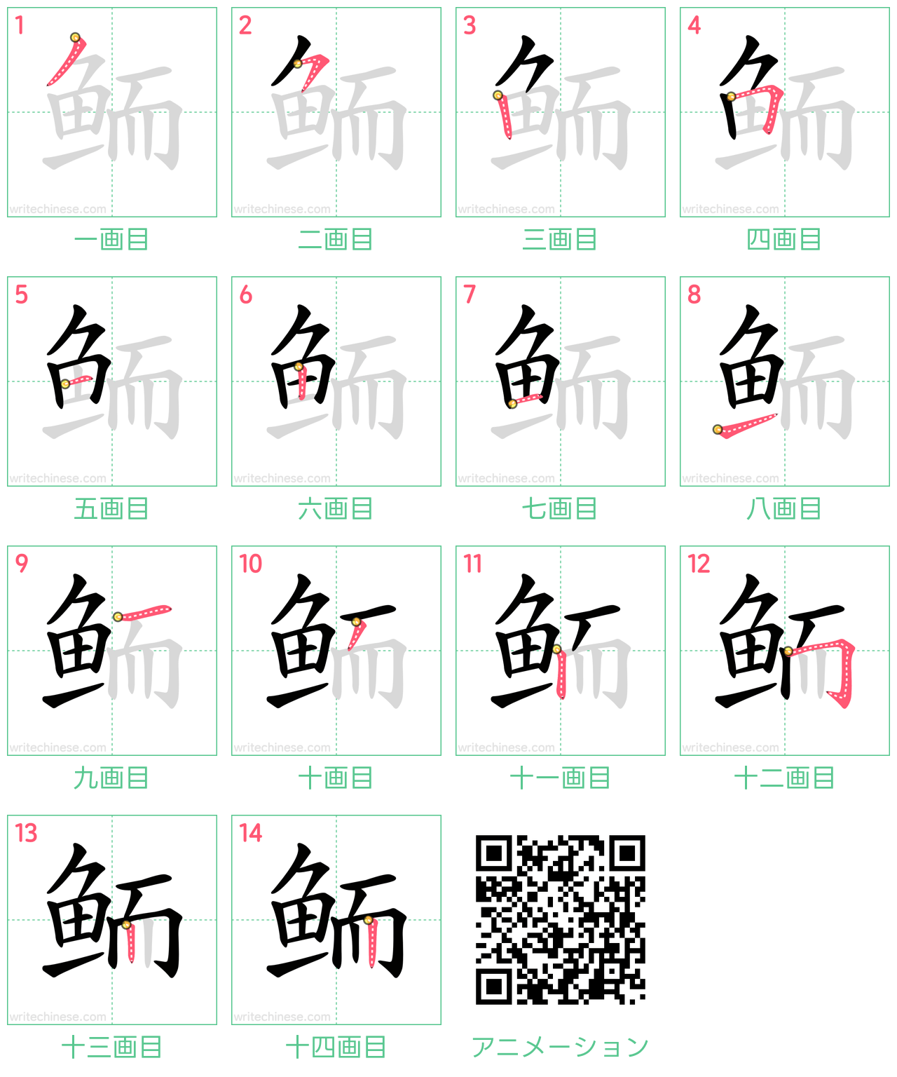 中国語の漢字「鲕」の書き順 筆順