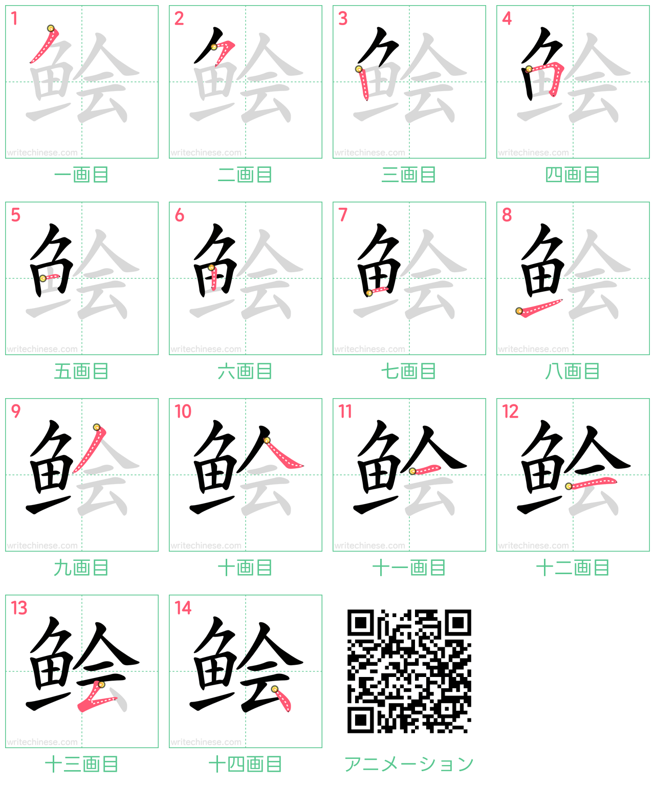中国語の漢字「鲙」の書き順 筆順
