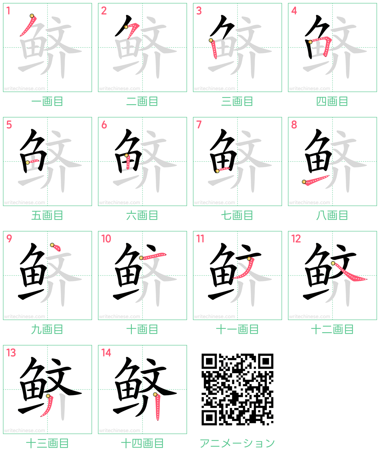中国語の漢字「鲚」の書き順 筆順