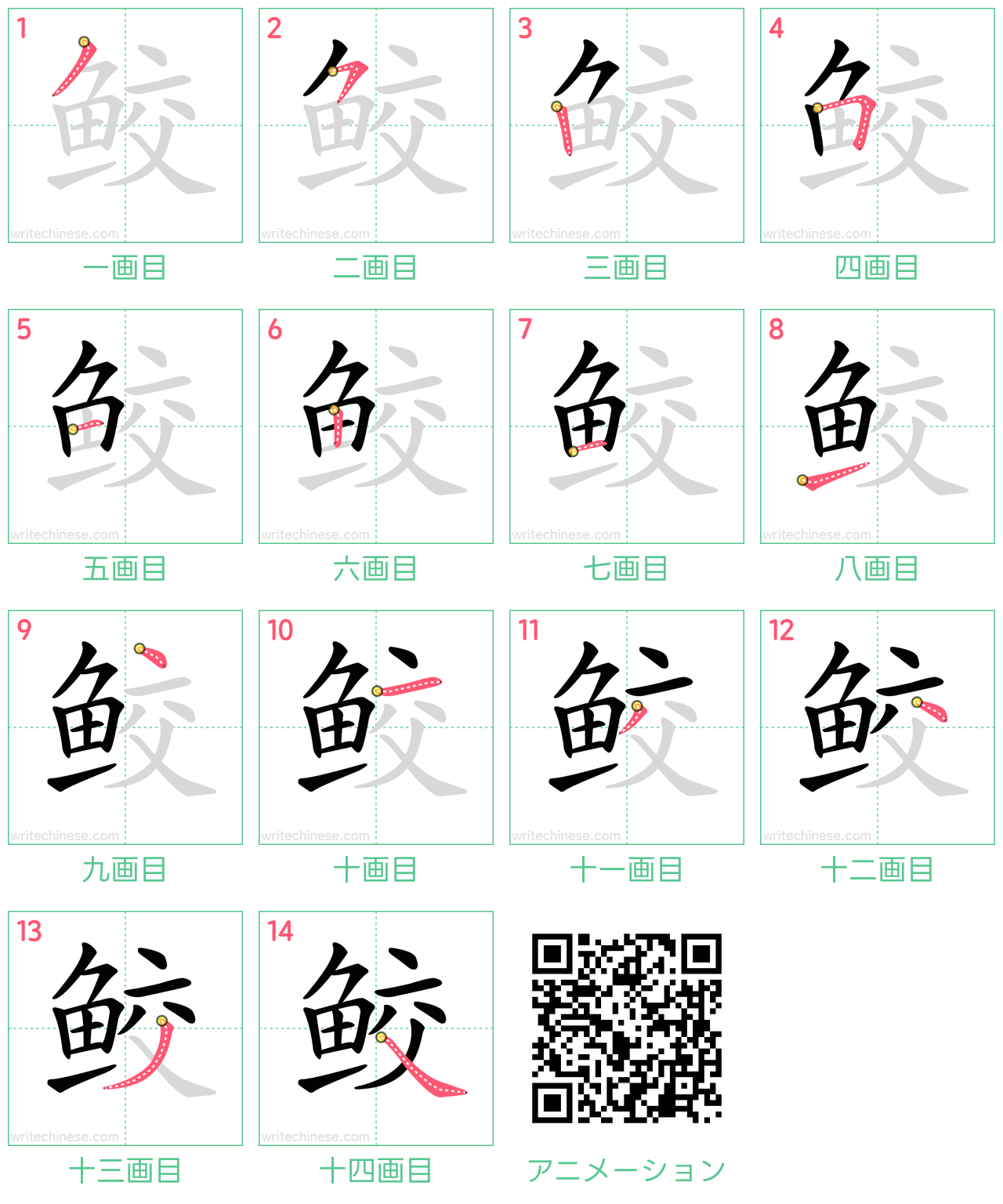 中国語の漢字「鲛」の書き順 筆順