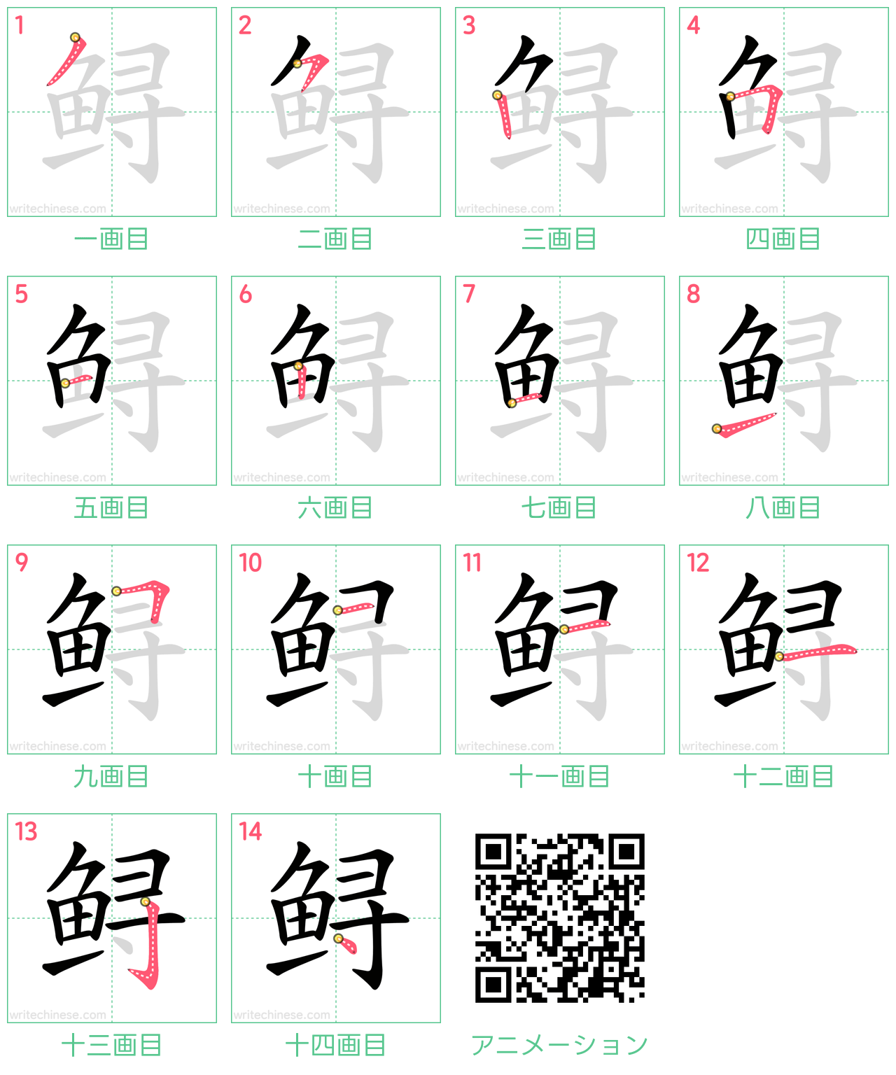 中国語の漢字「鲟」の書き順 筆順