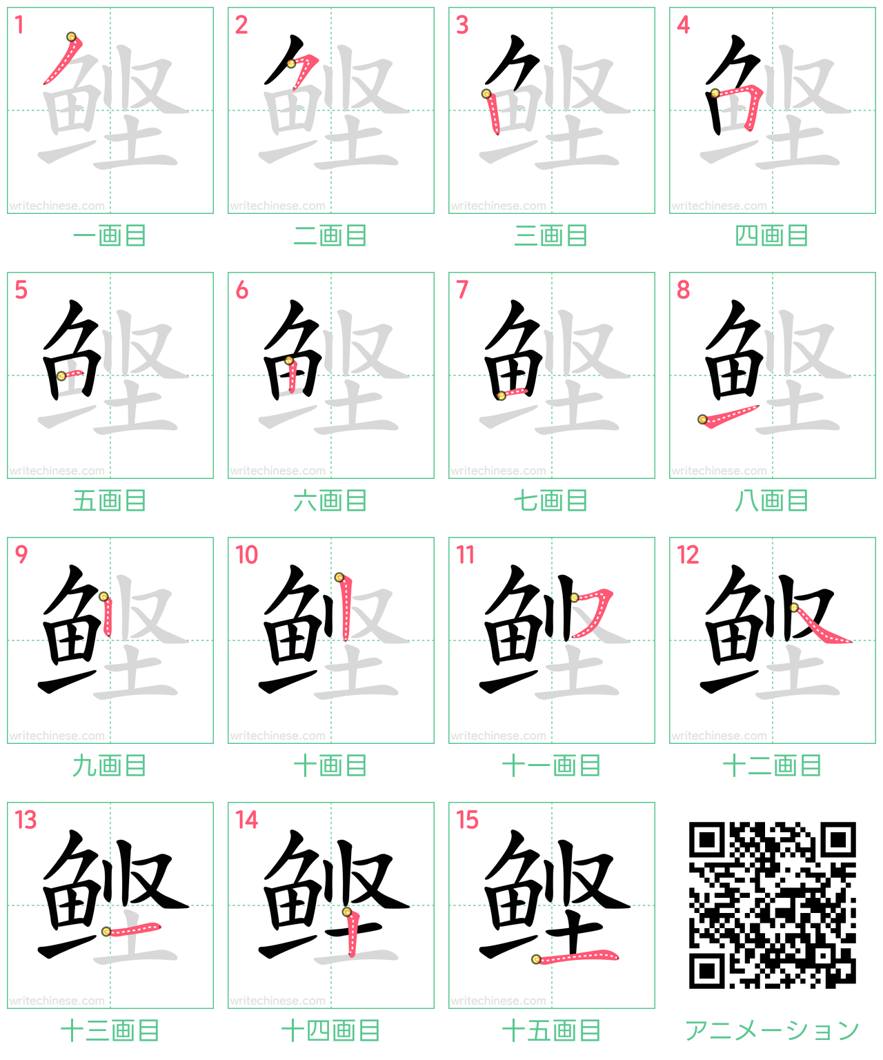中国語の漢字「鲣」の書き順 筆順