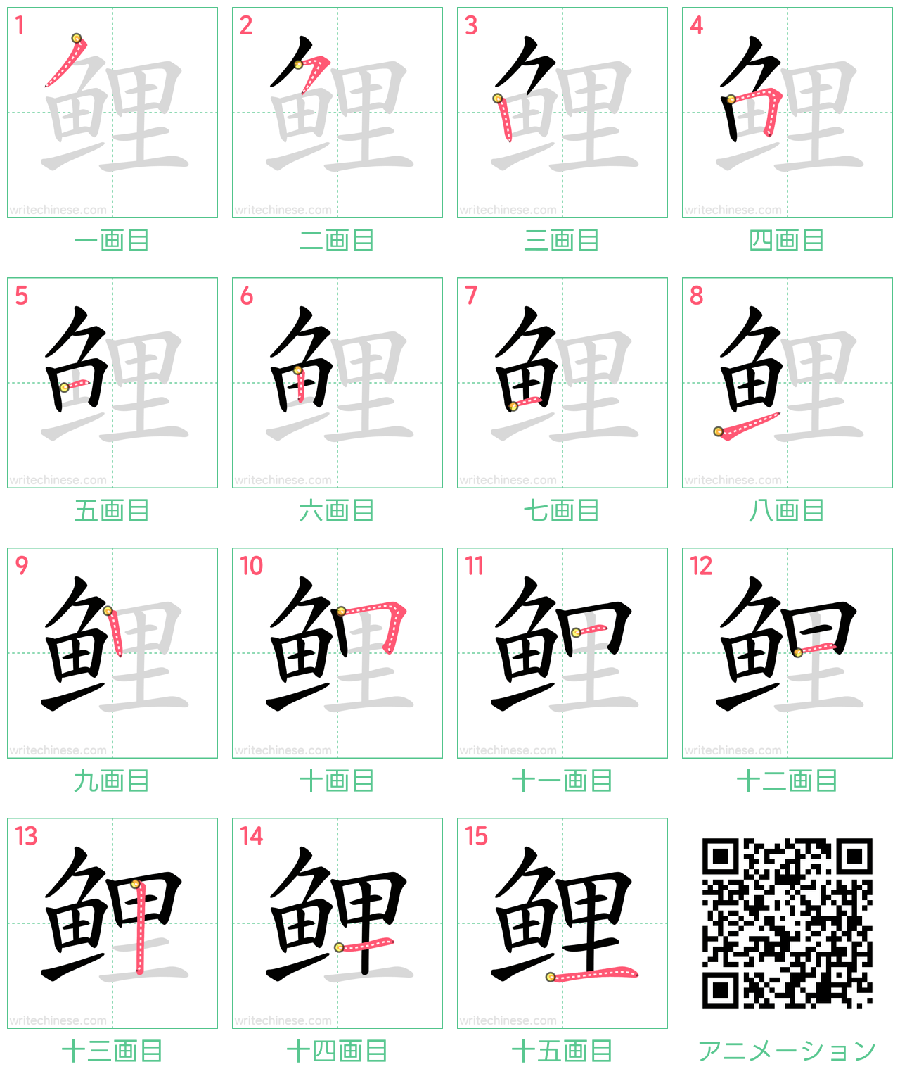 中国語の漢字「鲤」の書き順 筆順