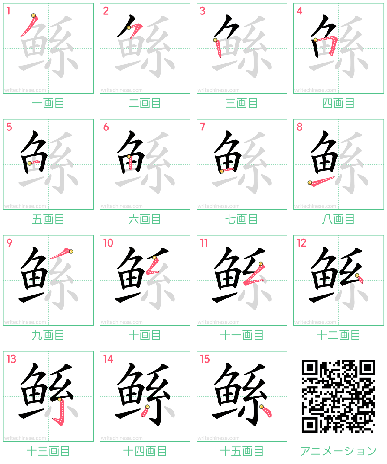 中国語の漢字「鲧」の書き順 筆順
