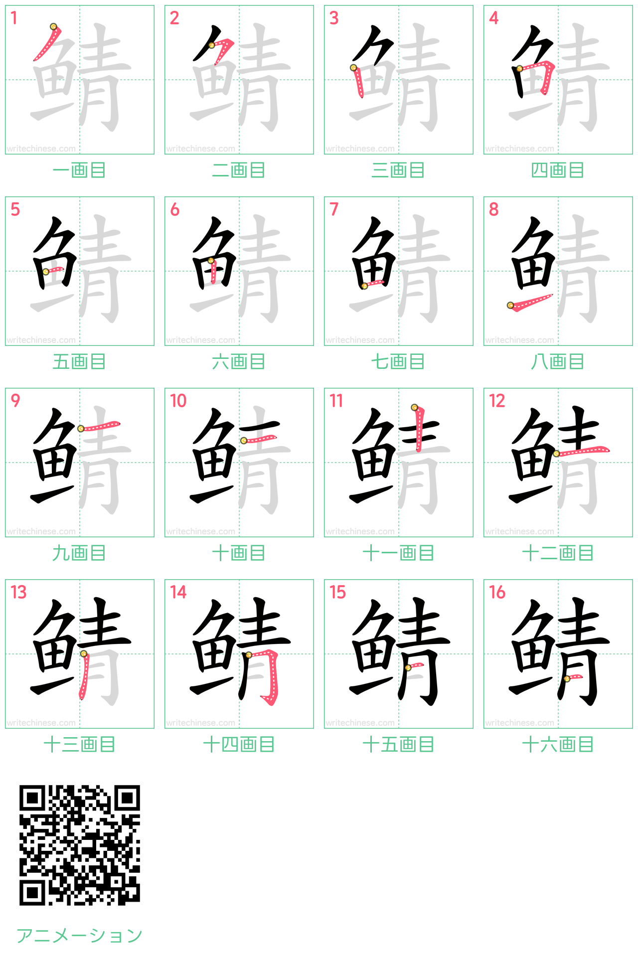 中国語の漢字「鲭」の書き順 筆順