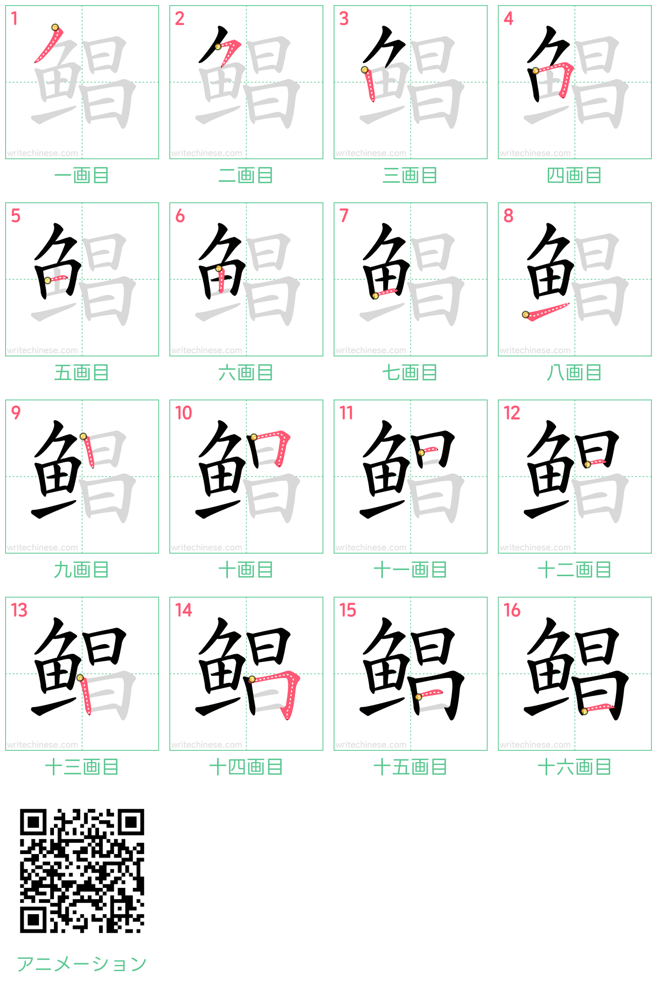 中国語の漢字「鲳」の書き順 筆順