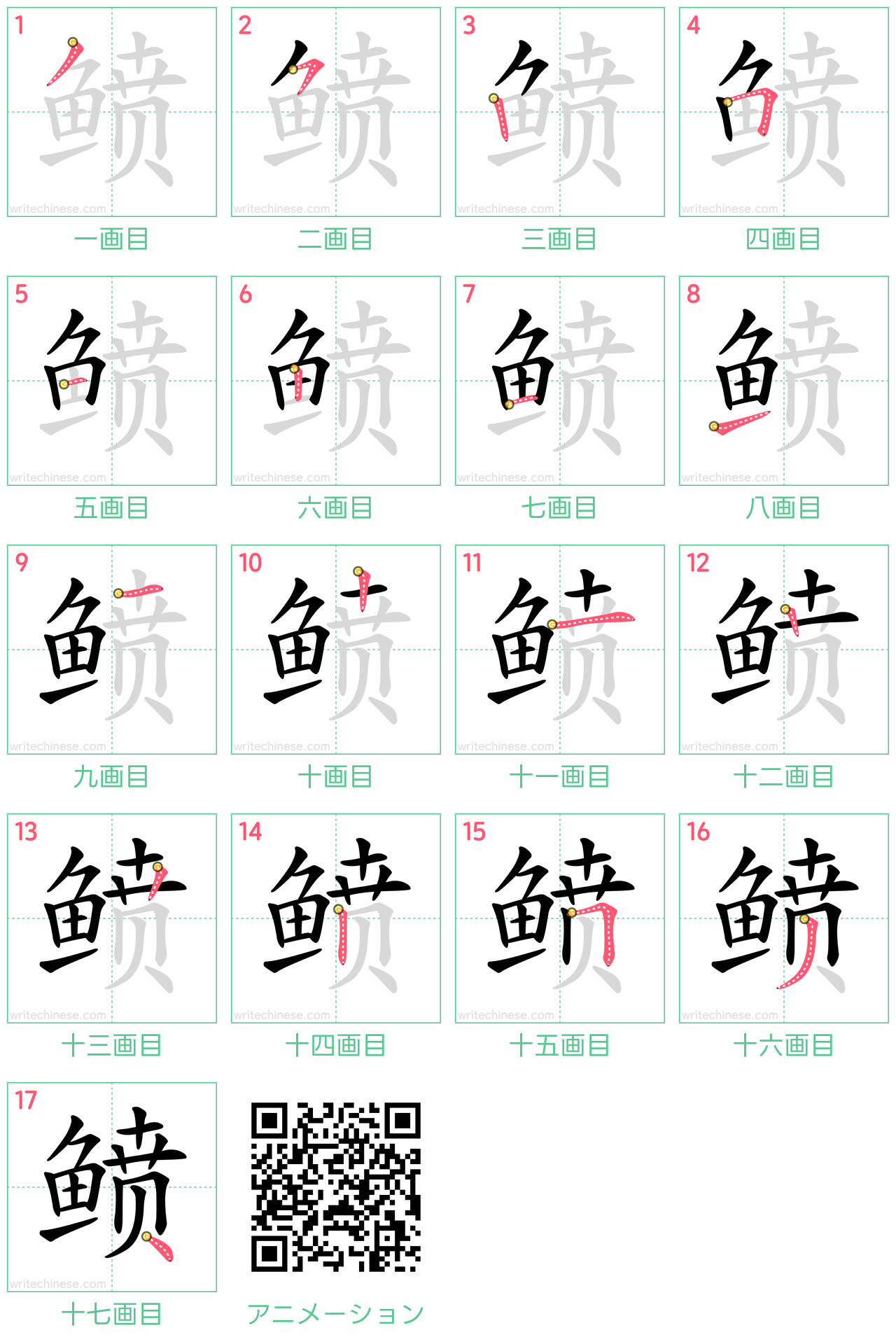 中国語の漢字「鲼」の書き順 筆順