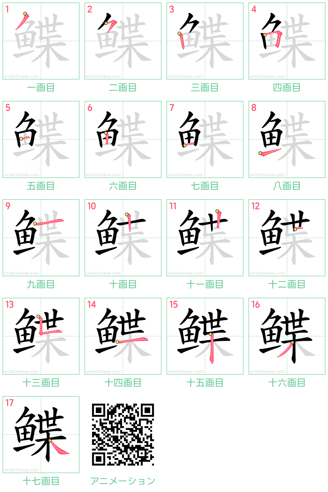 中国語の漢字「鲽」の書き順 筆順
