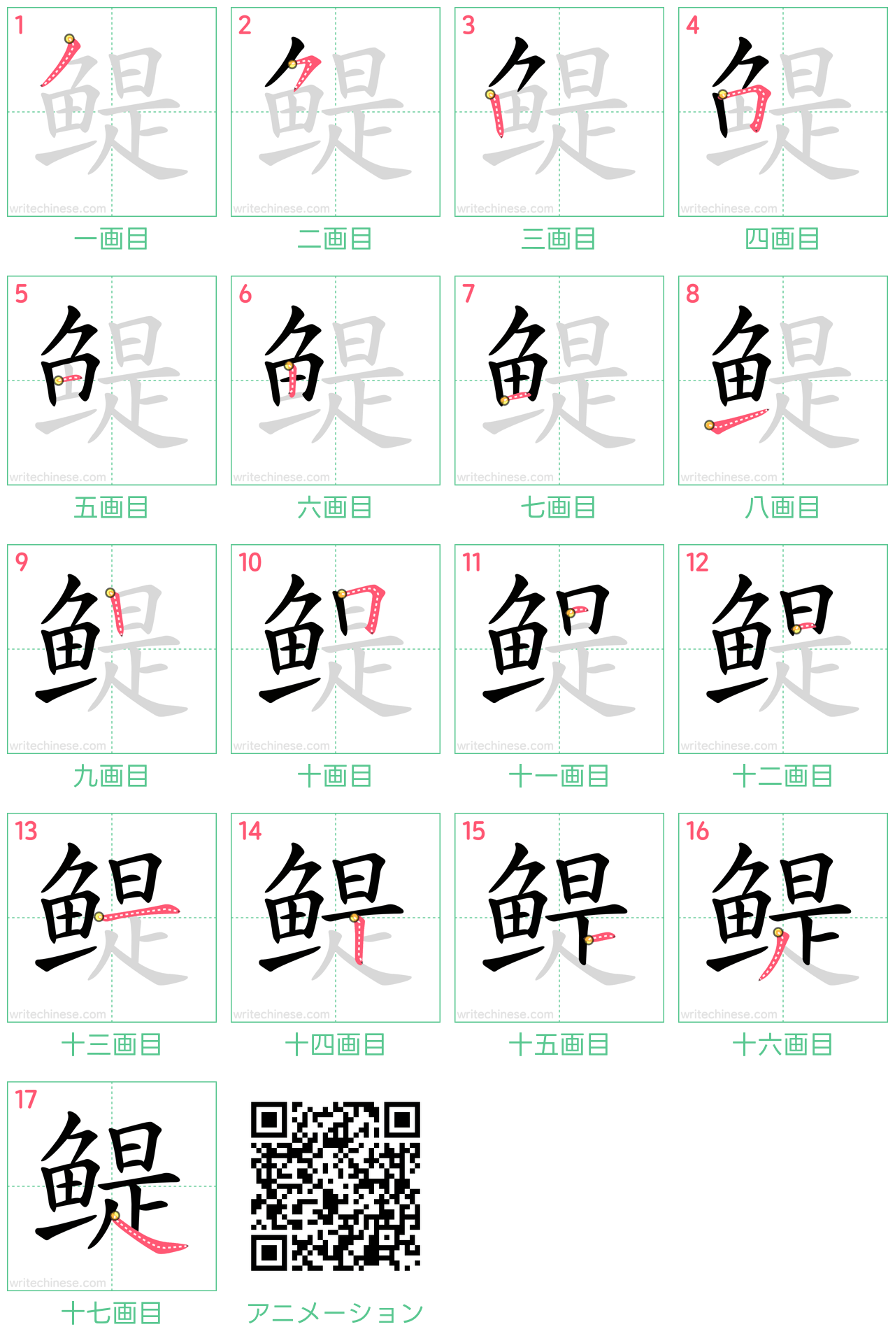 中国語の漢字「鳀」の書き順 筆順