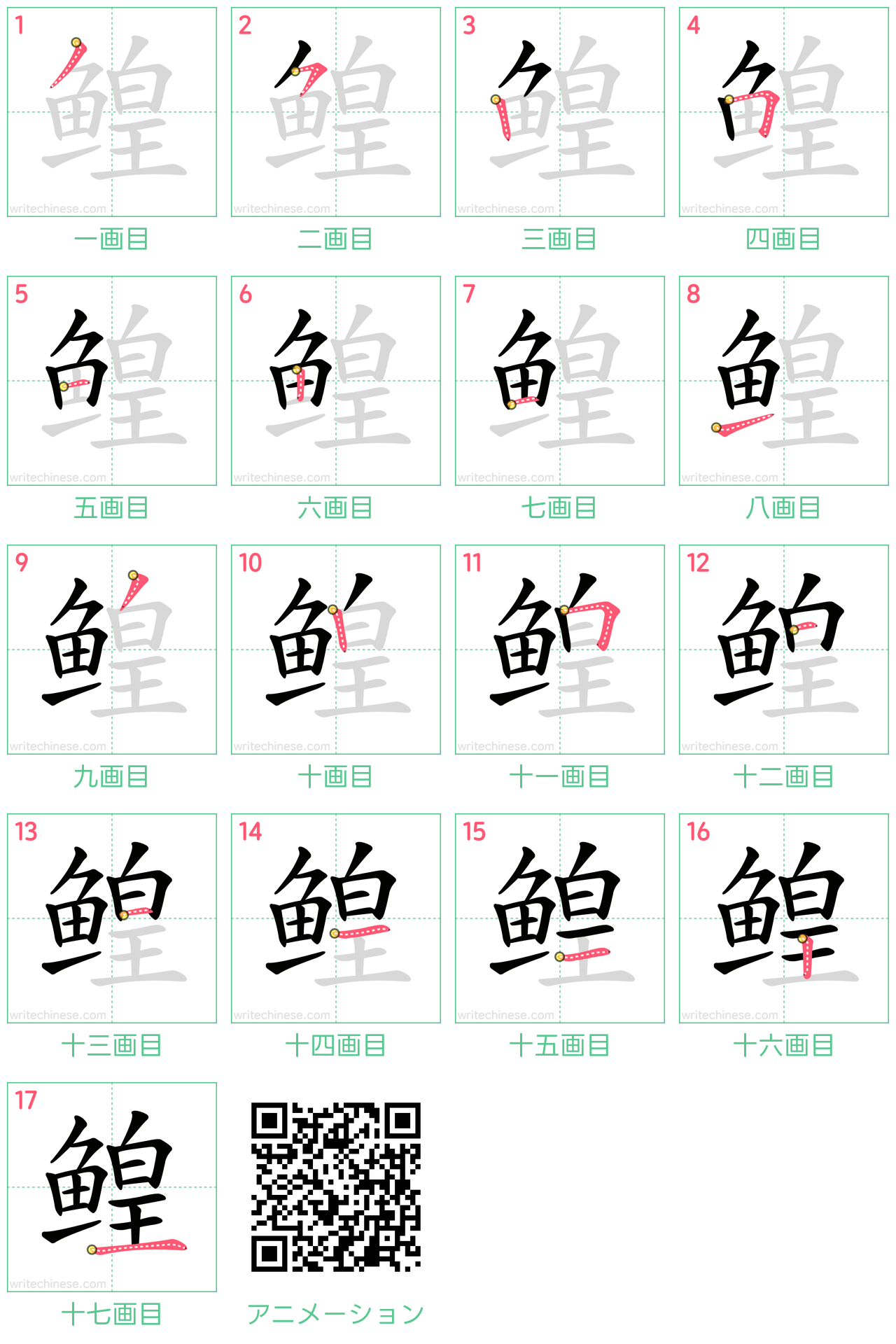 中国語の漢字「鳇」の書き順 筆順
