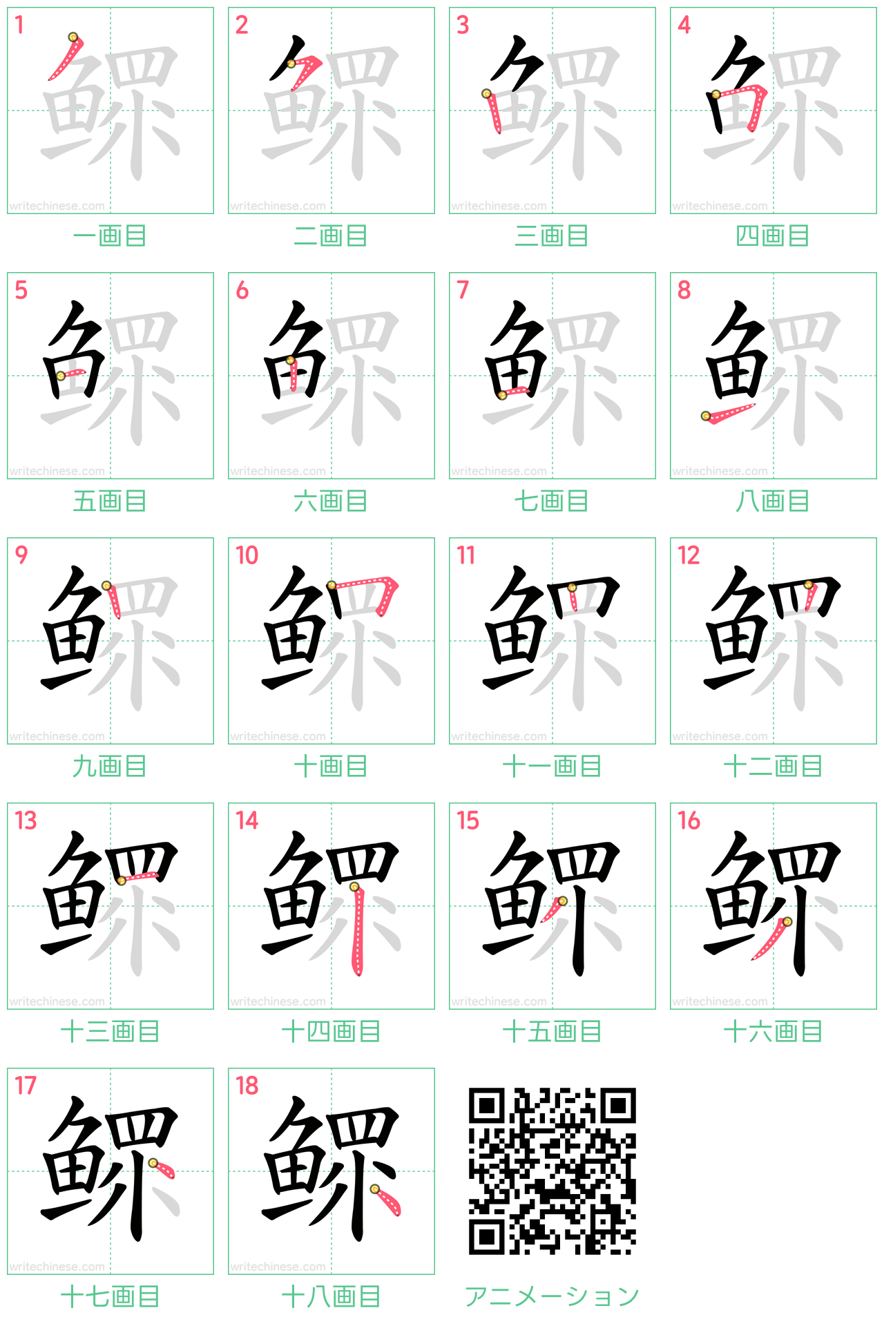 中国語の漢字「鳏」の書き順 筆順