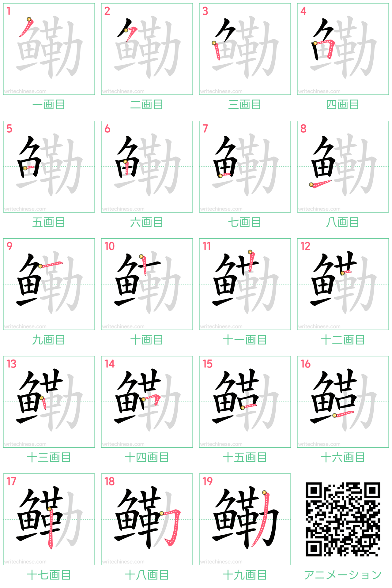 中国語の漢字「鳓」の書き順 筆順