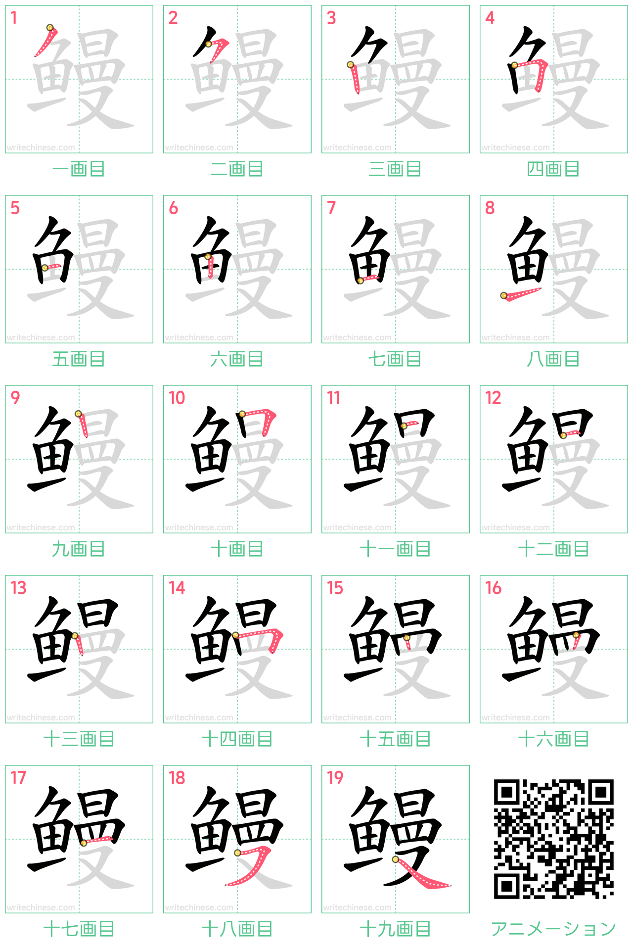 中国語の漢字「鳗」の書き順 筆順