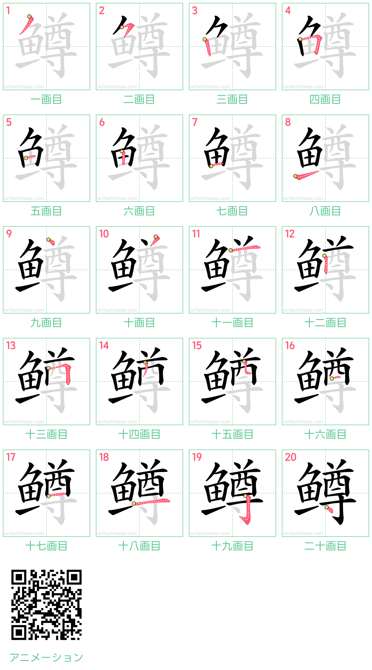 中国語の漢字「鳟」の書き順 筆順