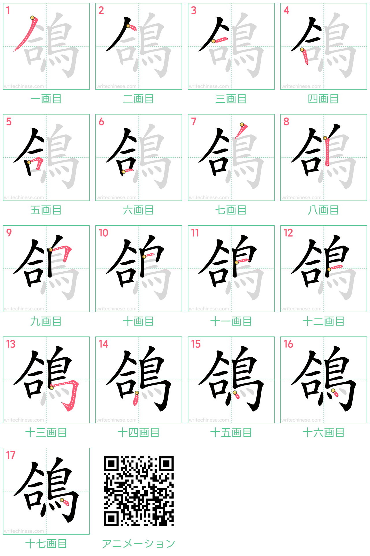 中国語の漢字「鴿」の書き順 筆順