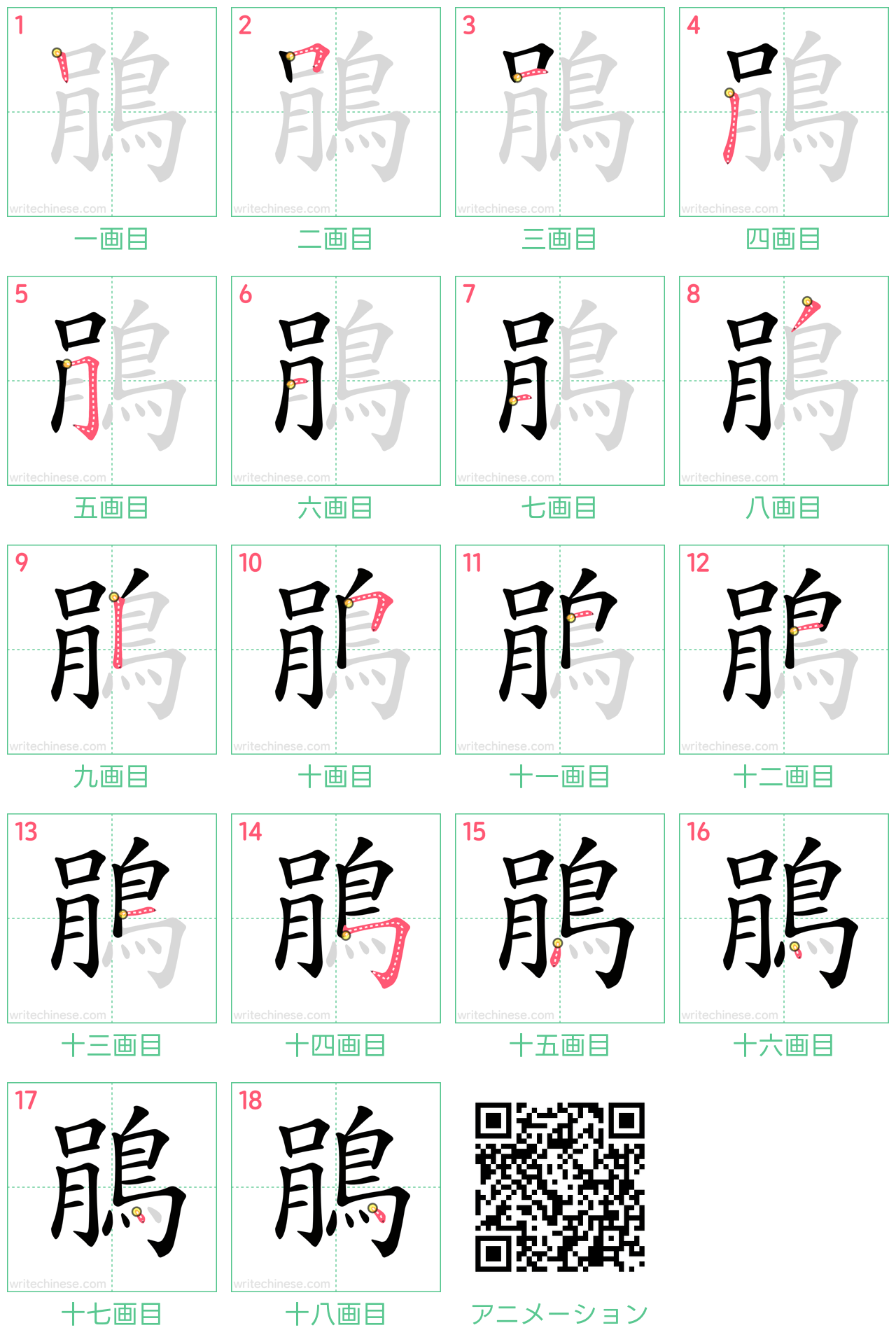 中国語の漢字「鵑」の書き順 筆順