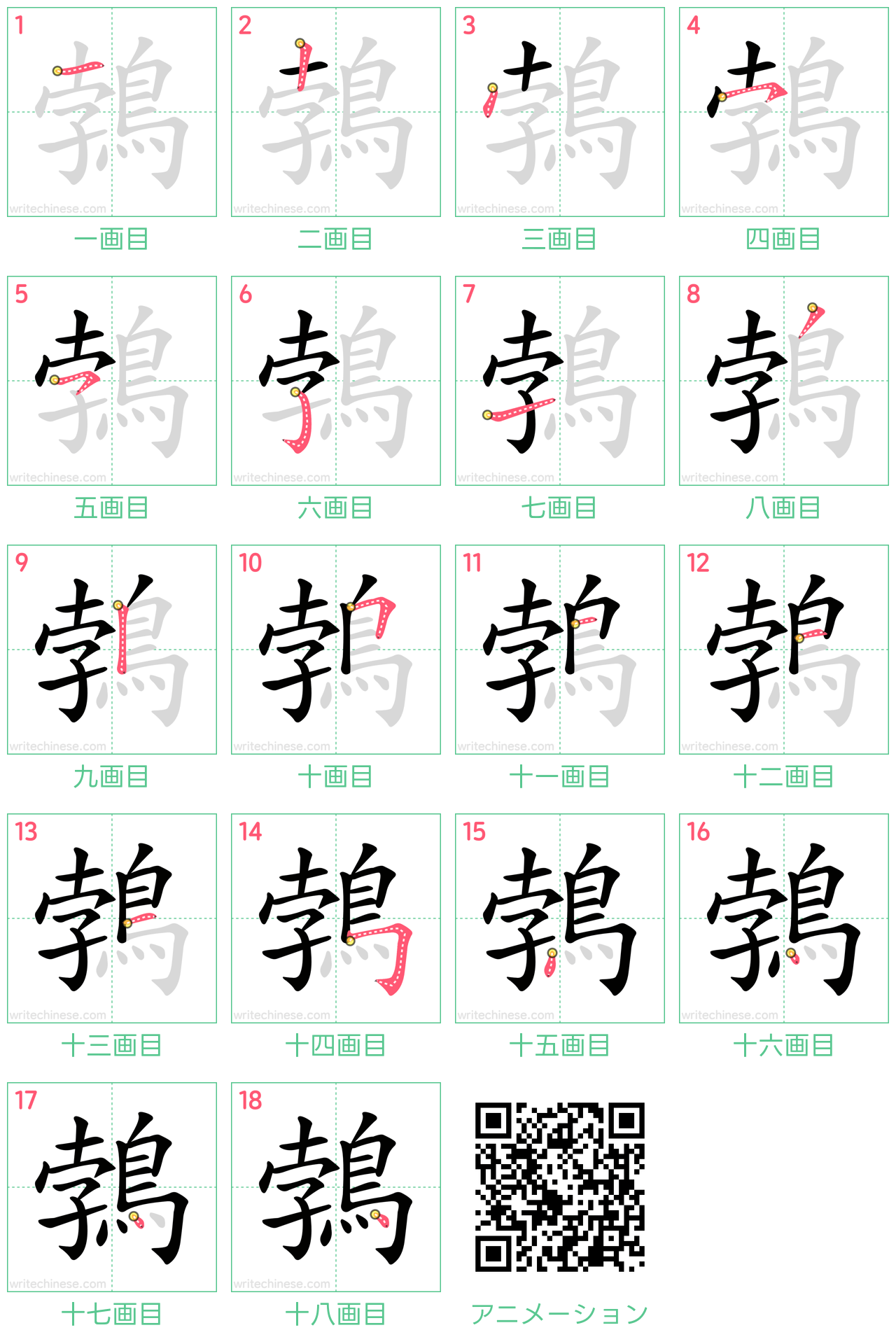 中国語の漢字「鵓」の書き順 筆順