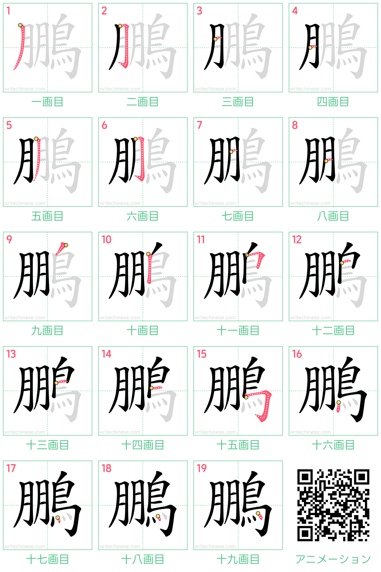 中国語の漢字「鵬」の書き順 筆順