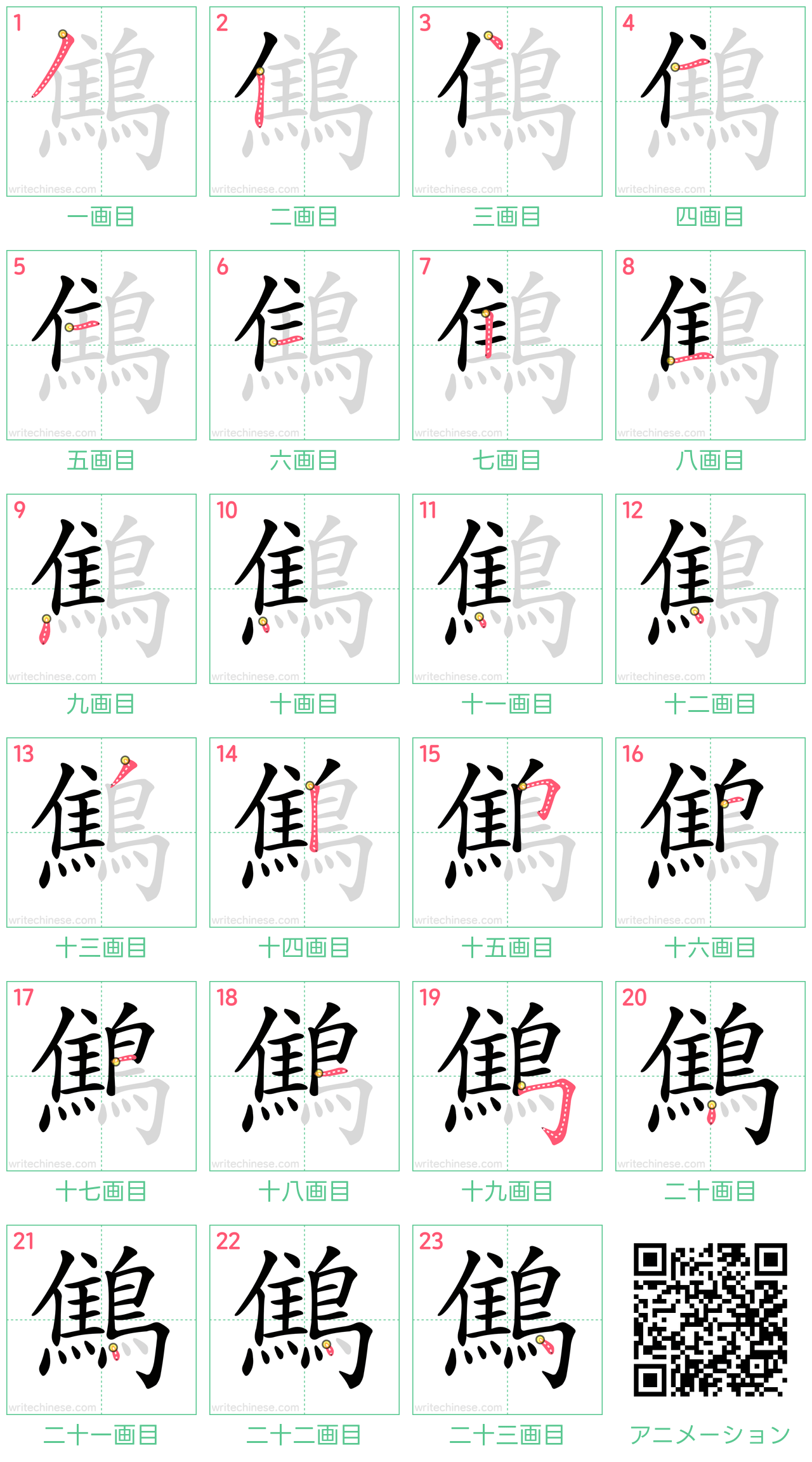 中国語の漢字「鷦」の書き順 筆順