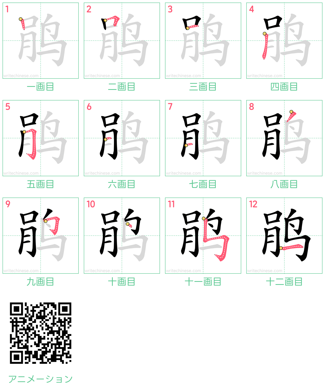 中国語の漢字「鹃」の書き順 筆順