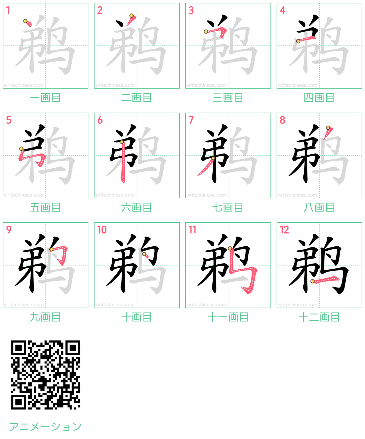 中国語の漢字「鹈」の書き順 筆順