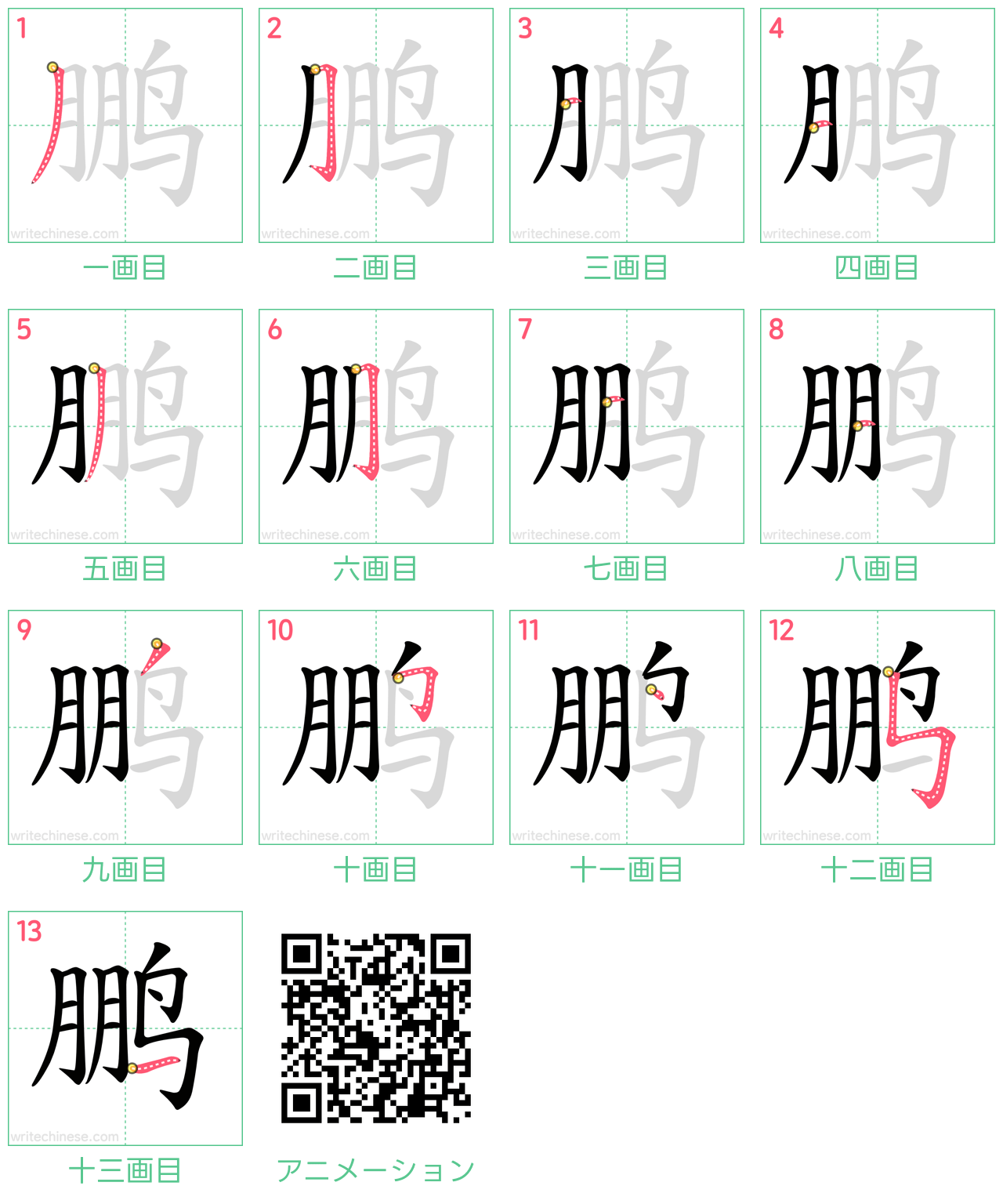 中国語の漢字「鹏」の書き順 筆順