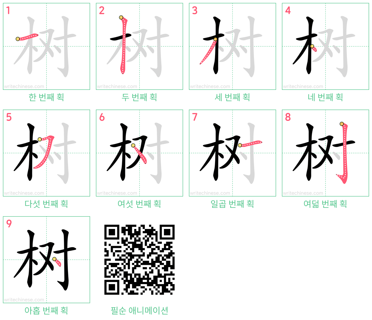 树 step-by-step stroke order diagrams