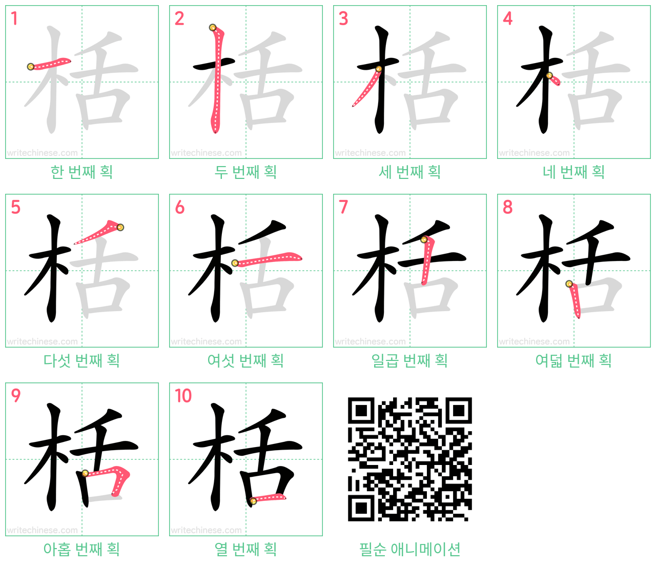 栝 step-by-step stroke order diagrams