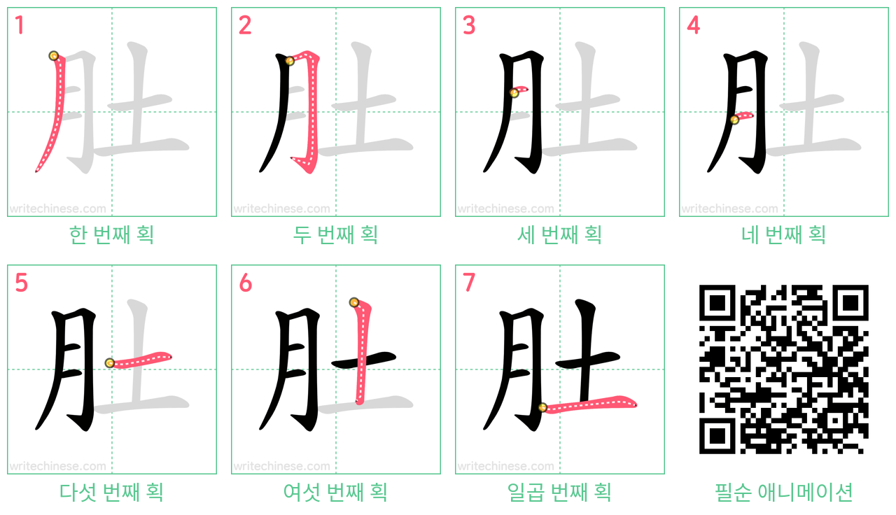 肚 step-by-step stroke order diagrams
