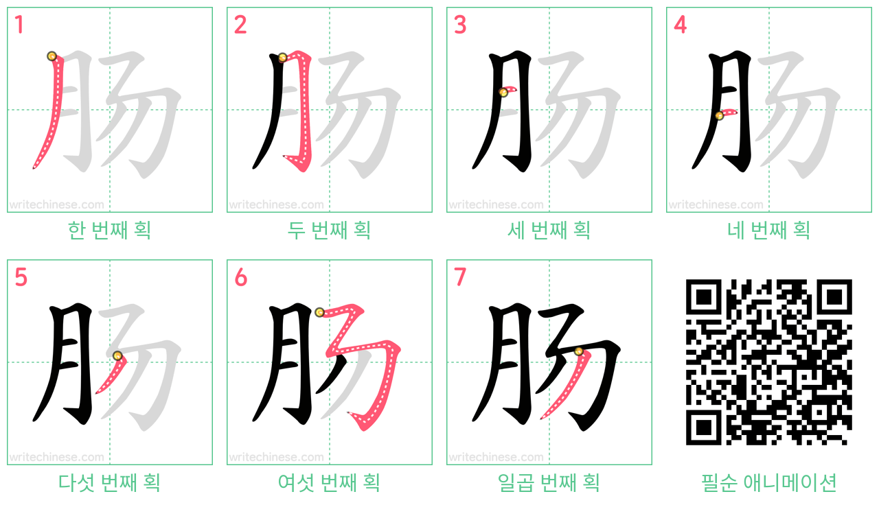 肠 step-by-step stroke order diagrams