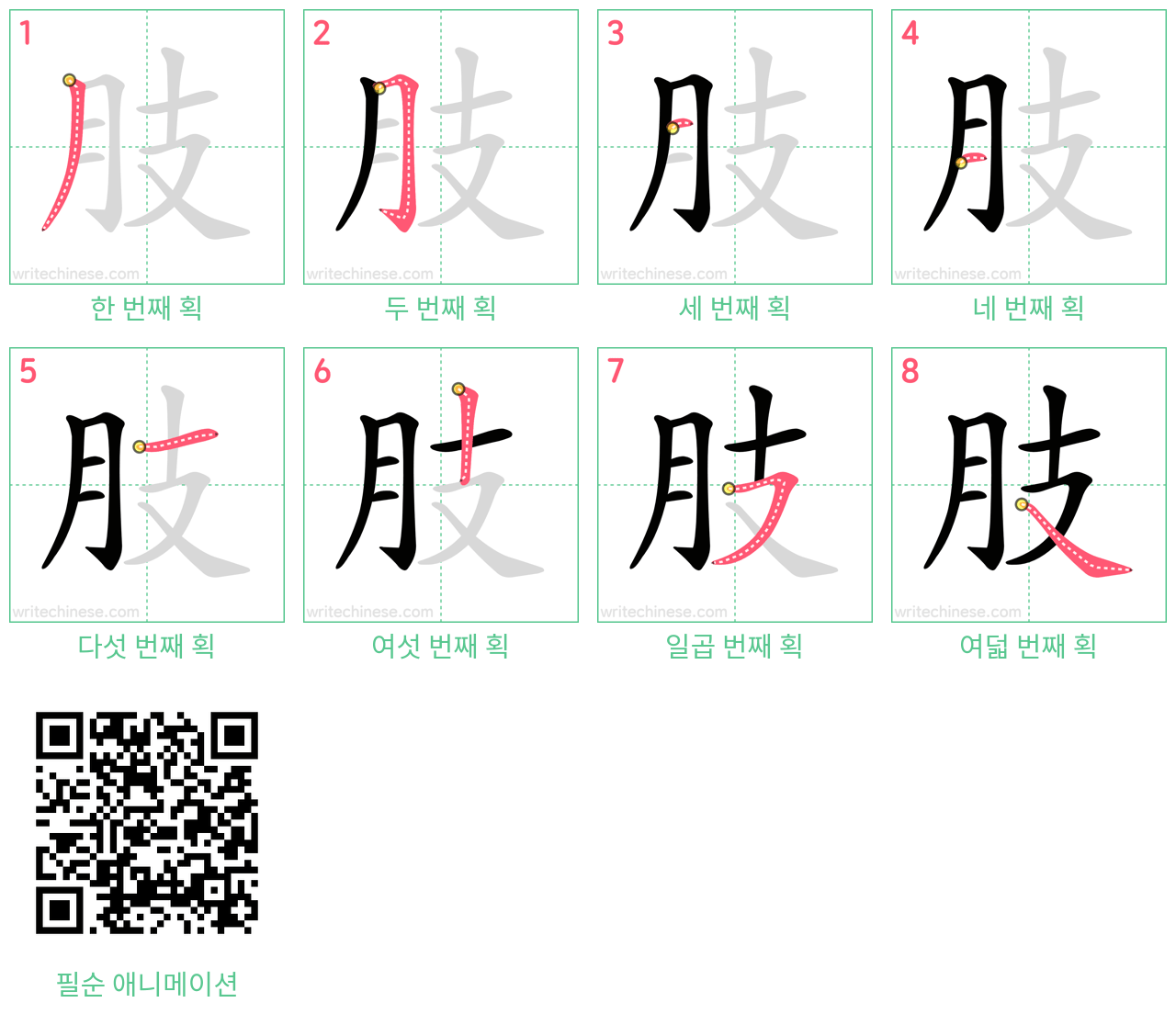 肢 step-by-step stroke order diagrams