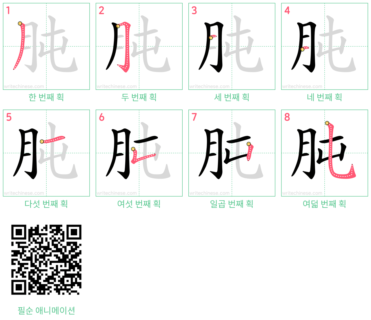 肫 step-by-step stroke order diagrams