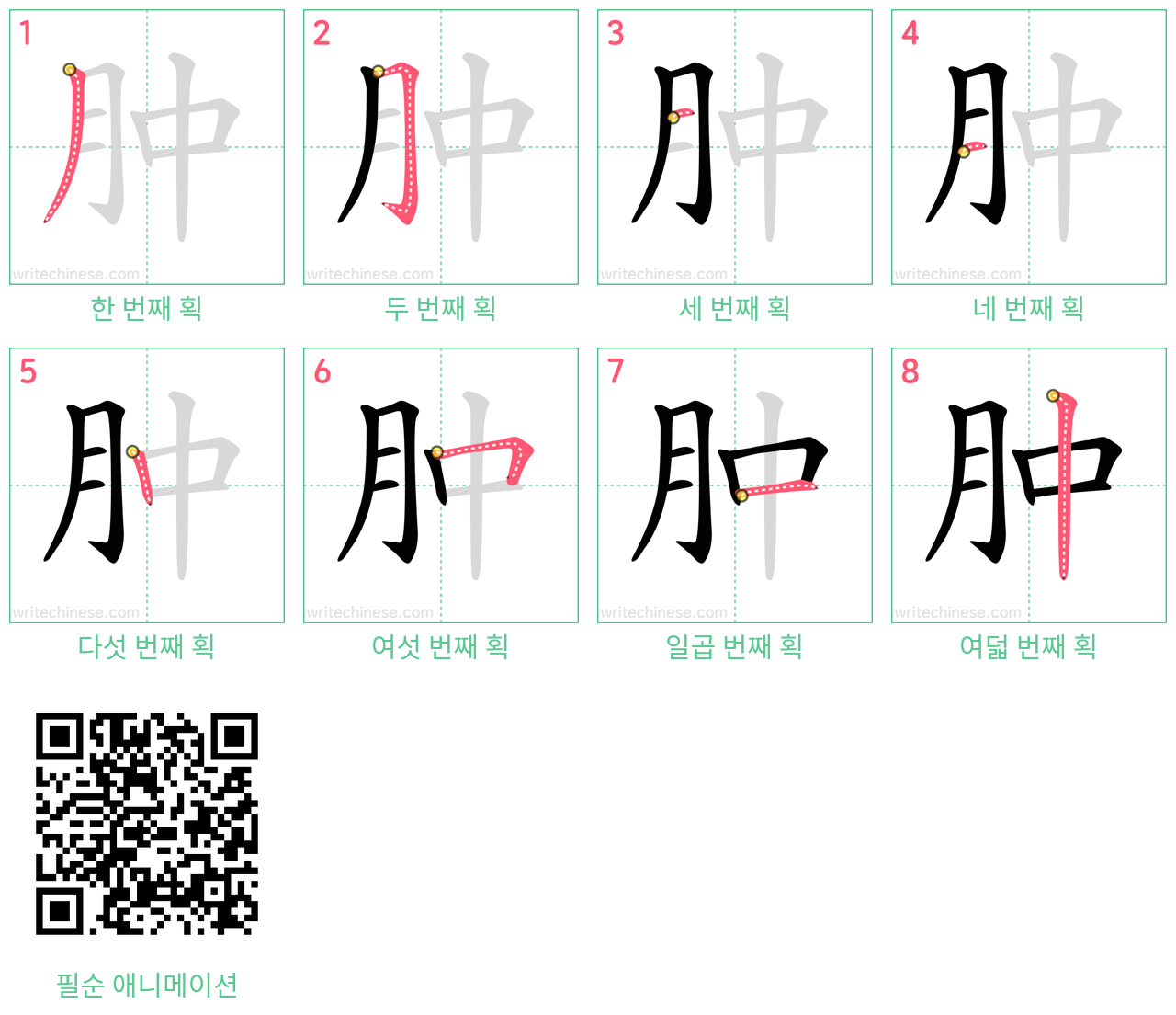 肿 step-by-step stroke order diagrams