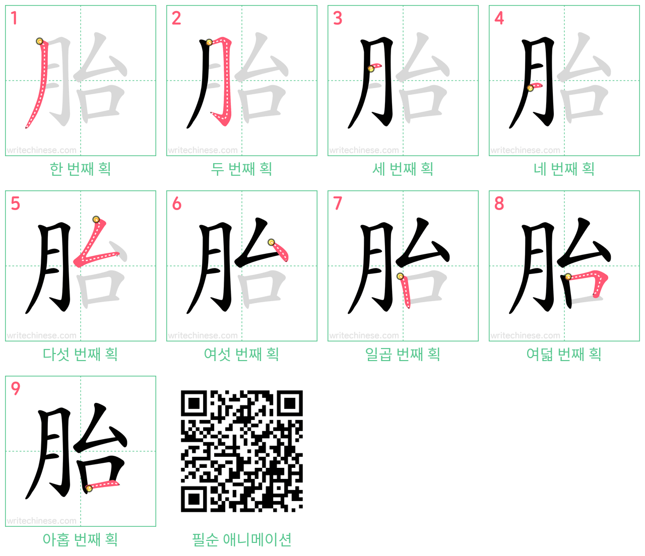 胎 step-by-step stroke order diagrams