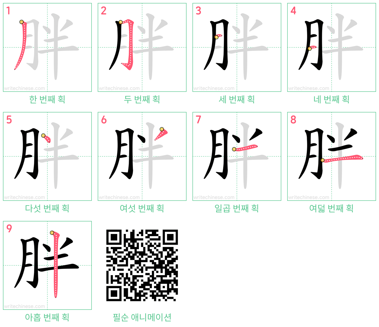 胖 step-by-step stroke order diagrams