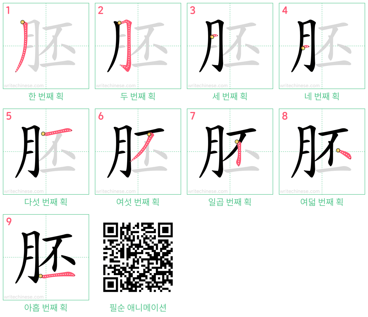 胚 step-by-step stroke order diagrams