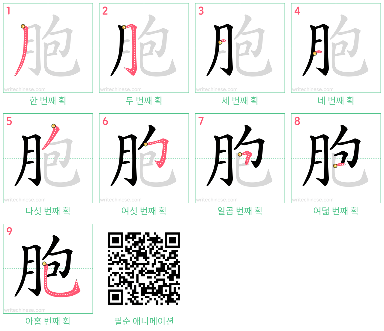 胞 step-by-step stroke order diagrams