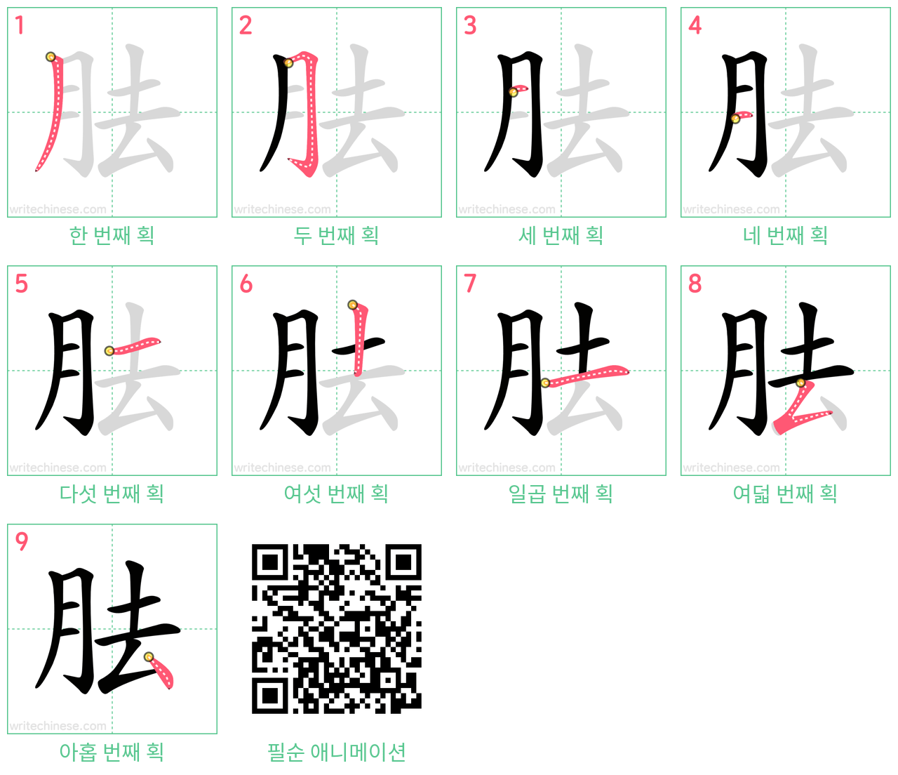 胠 step-by-step stroke order diagrams