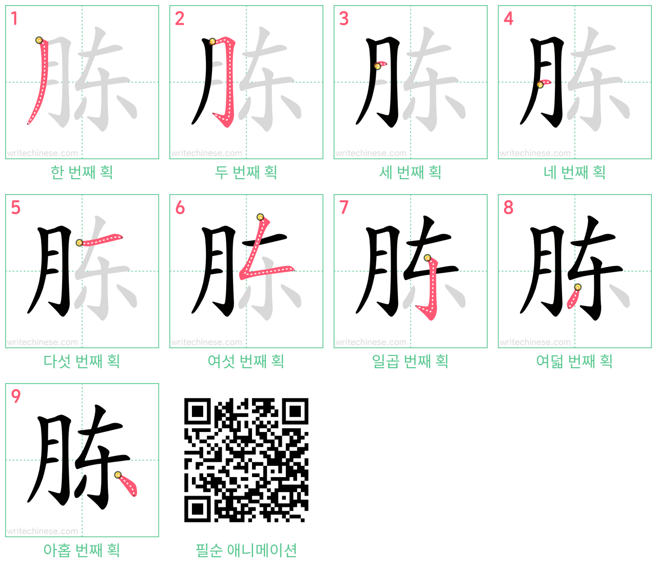 胨 step-by-step stroke order diagrams