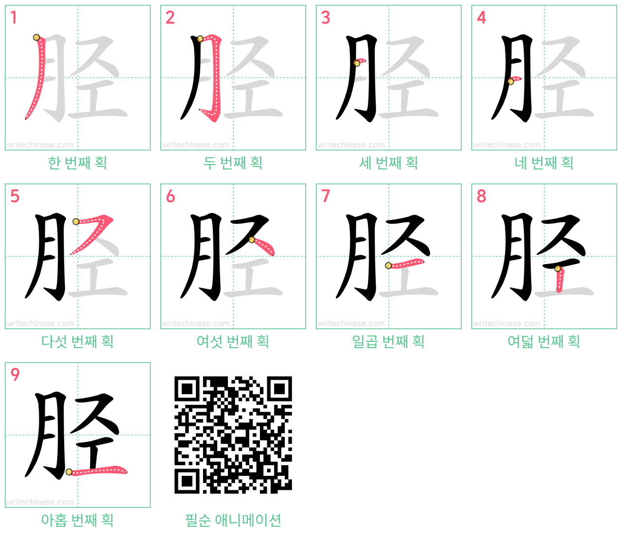 胫 step-by-step stroke order diagrams