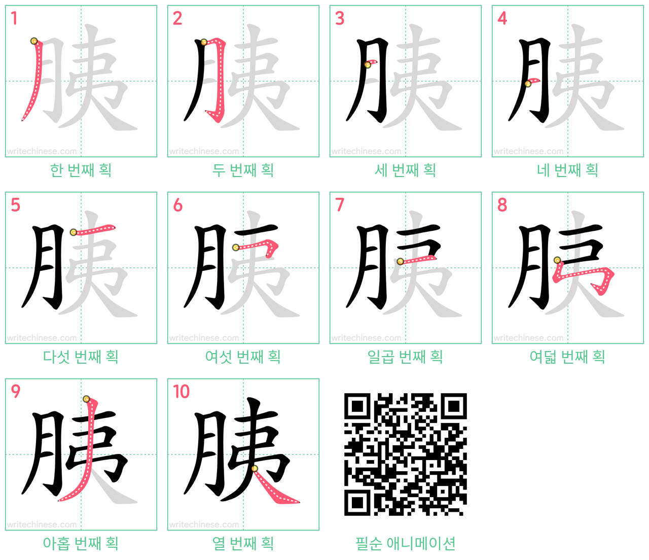 胰 step-by-step stroke order diagrams