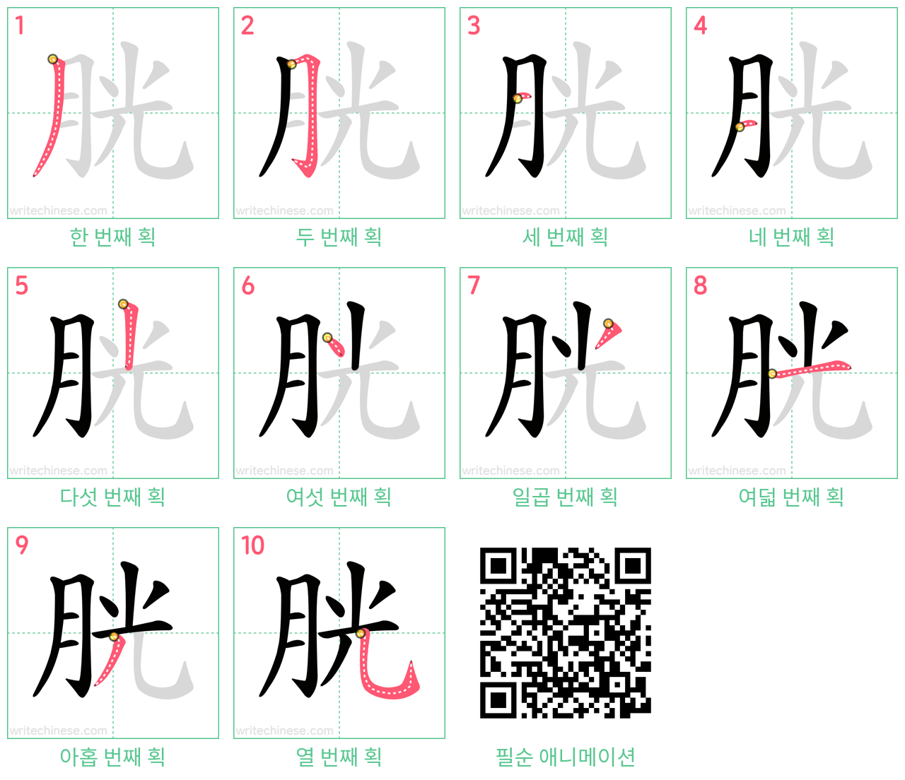 胱 step-by-step stroke order diagrams