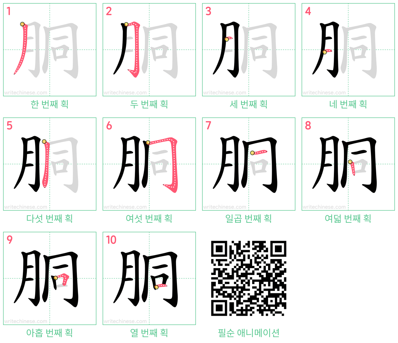 胴 step-by-step stroke order diagrams