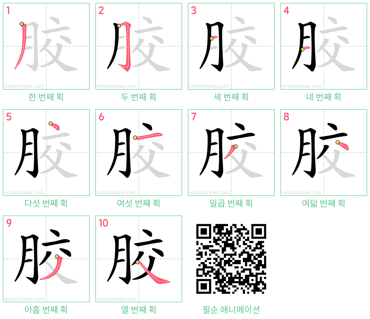 胶 step-by-step stroke order diagrams