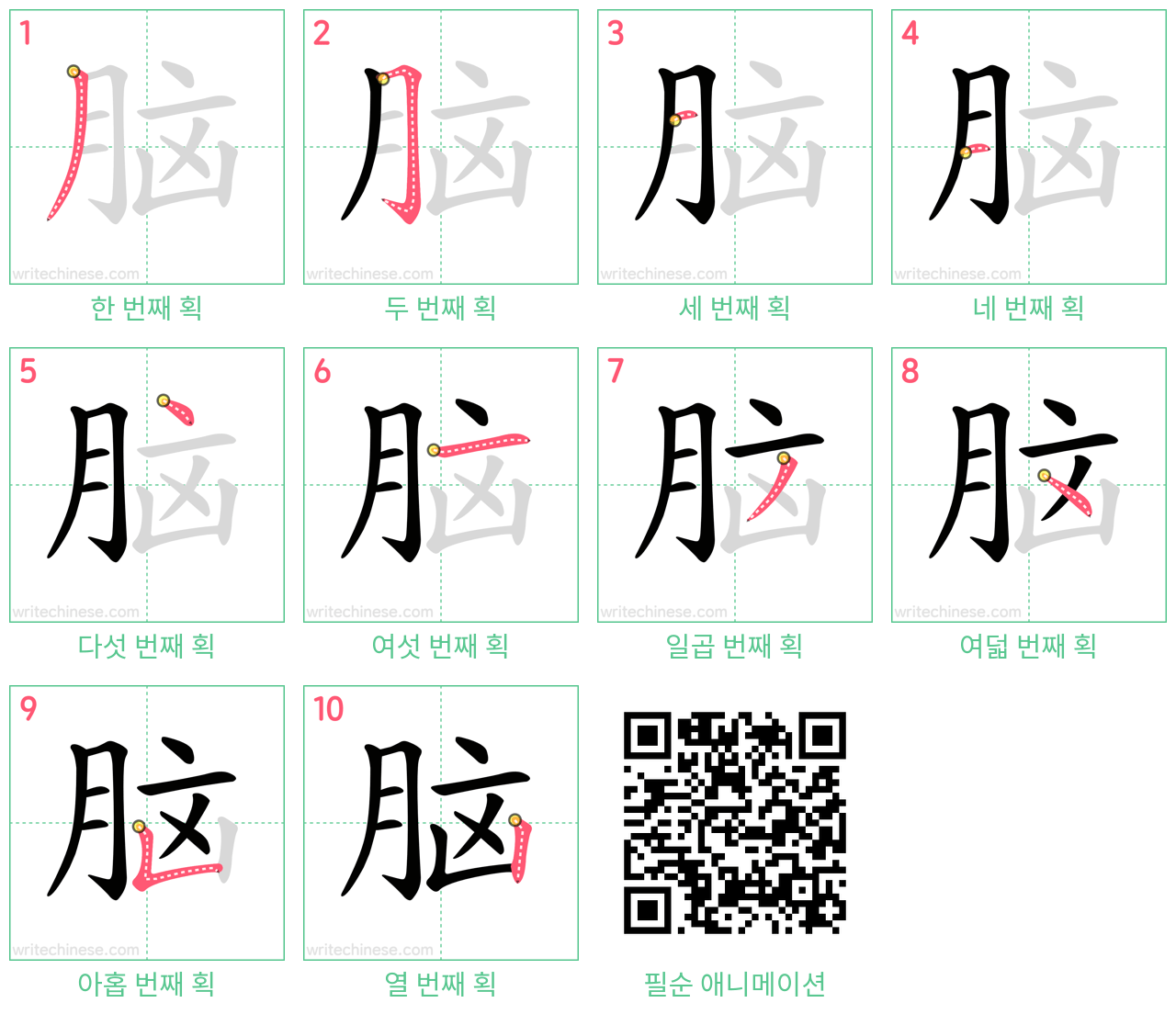 脑 step-by-step stroke order diagrams