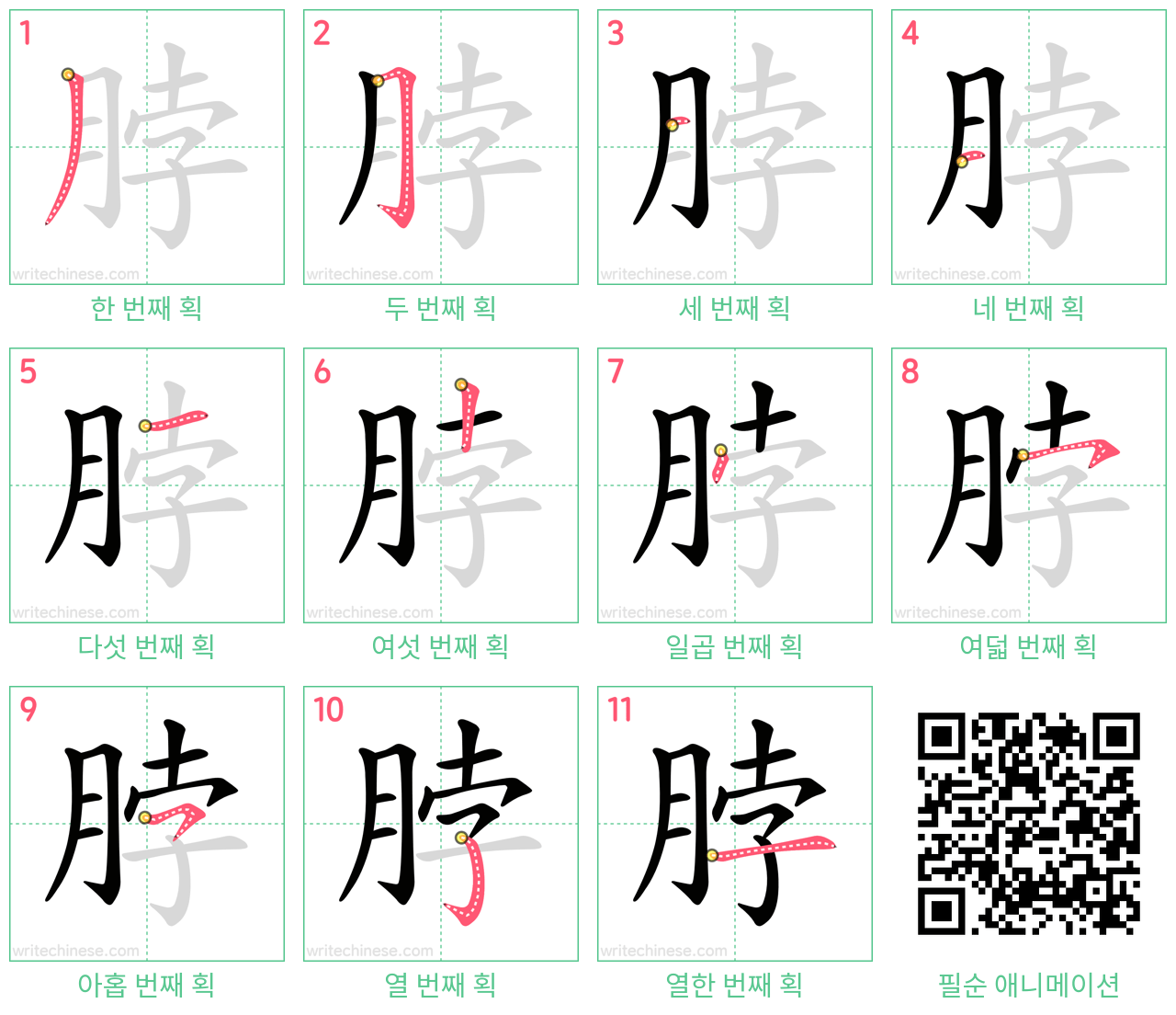 脖 step-by-step stroke order diagrams