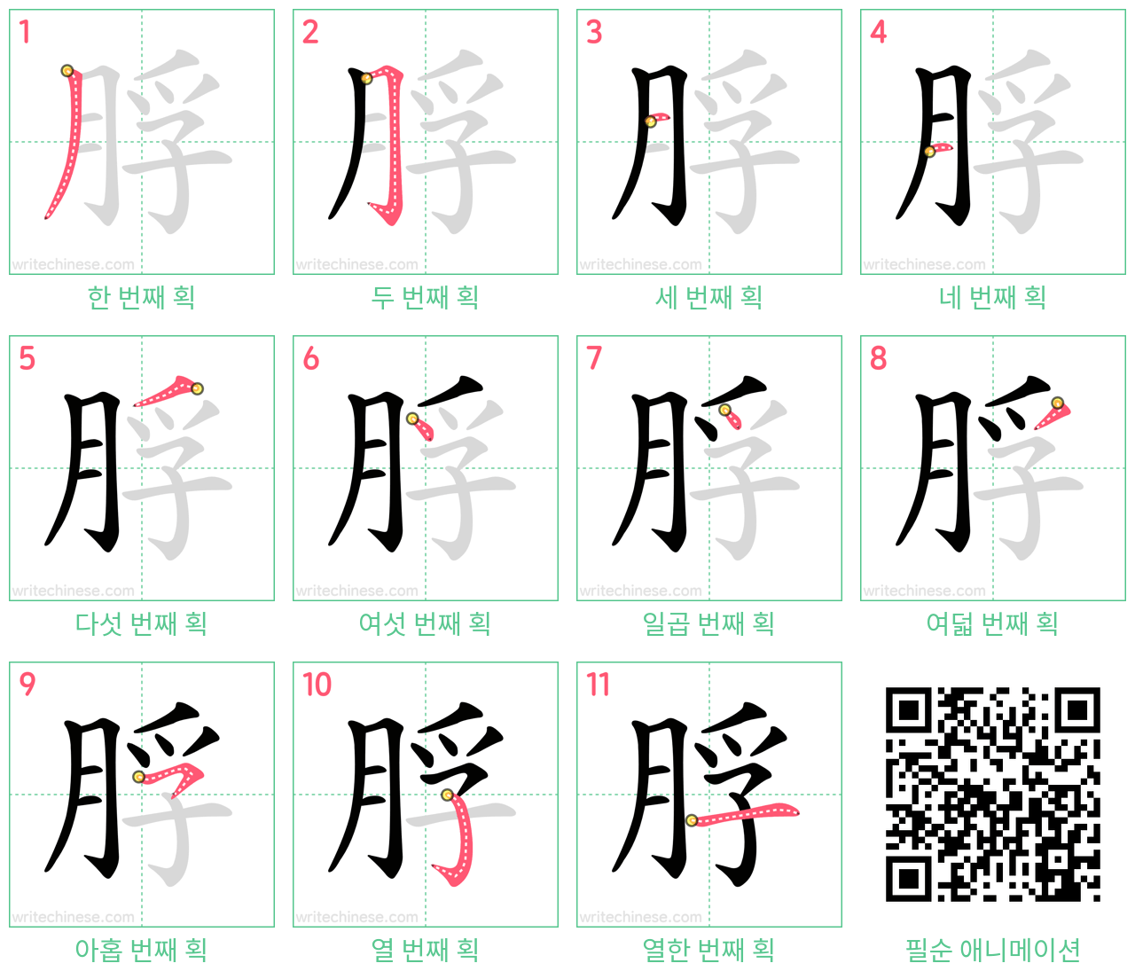 脬 step-by-step stroke order diagrams