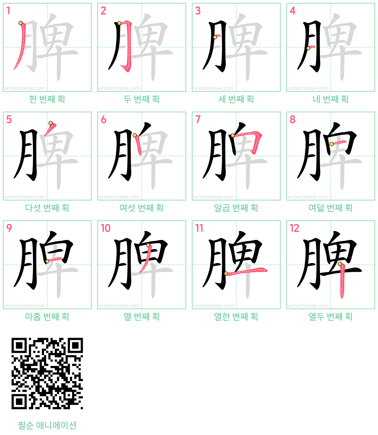 脾 step-by-step stroke order diagrams