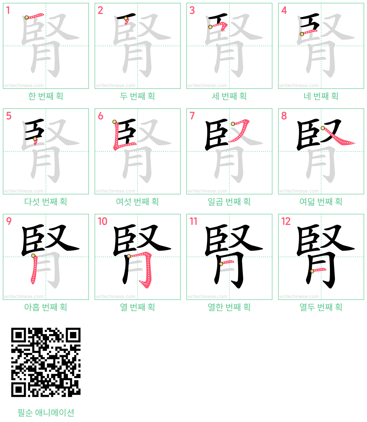 腎 step-by-step stroke order diagrams